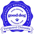 vanguard-chinooks-new-jersey-badge